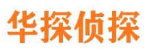 新田侦探